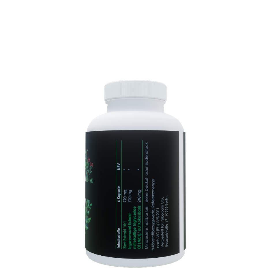 Cinnamon+ N°3 - mit Prokinetikum 5% Rabatt